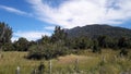 Landscape near the Rio South of Chile Royalty Free Stock Photo